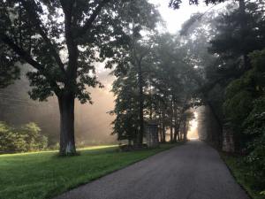 14364684_10154262274601195_8583626501312719588_n