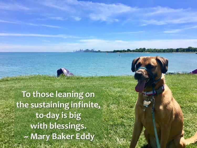 Photo for blog on Supply