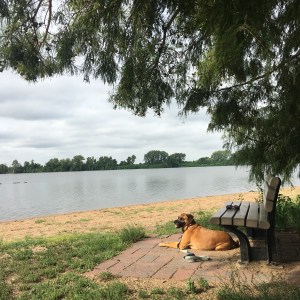 Tillie by the lake